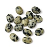 Natural Dalmatian Jasper Cabochons G-A094-01B-51-1