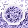 Glass Seed Beads SEED-T007-01I-1
