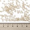 MIYUKI Round Rocailles Beads X-SEED-G008-RR0161-4