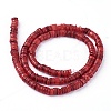 Shell Beads Strands X-SSHEL-E571-49H-2