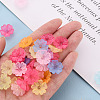 Transparent Frosted Acrylic Bead Caps MACR-S371-04A-5