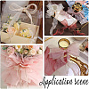 Polyester Organza Ribbons SRIB-WH20020-003A-02-5