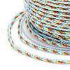 Multi-Color Decorative Nylon Twisted Cord NWIR-Z003-E03-3