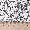 MIYUKI Round Rocailles Beads X-SEED-G009-RR2019-4