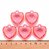 Transparent Acrylic Pendants TACR-T024-03B-910-4