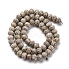Natural Conch Fossil Beads Strands G-K380-A41-01-3