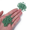 6/0 Czech Opaque Glass Seed Beads SEED-N004-003D-13-5