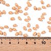 Baking Paint Glass Seed Beads SEED-T006-03E-4