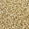 MIYUKI Round Rocailles Beads SEED-G007-RR0578-3