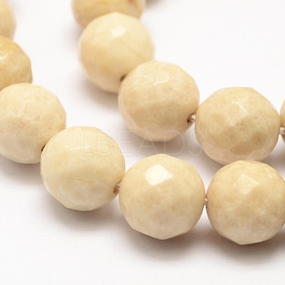 Natural Fossil Round Bead Strands X-G-O151-02-8mm-1