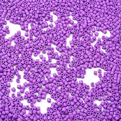 Baking Paint Glass Seed Beads X-SEED-S042-05B-72-1