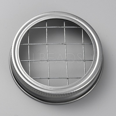 Galvanized Iron with 304 Stainless Steel Mason Jar Flower Frog Lid FIND-WH0152-314A-1