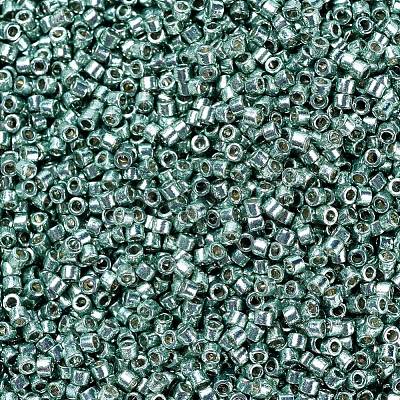 MIYUKI Delica Beads X-SEED-J020-DB1846-1