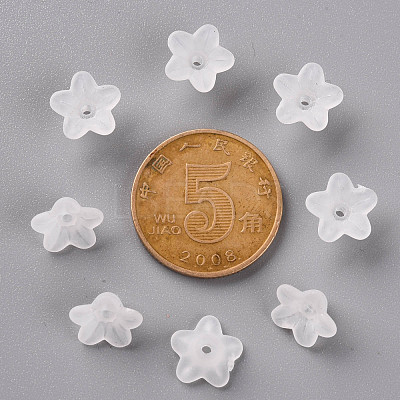 Transparent Acrylic Beads PL554-1