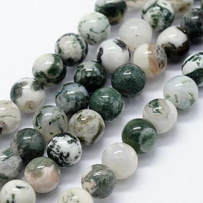Natural Tree Agate Beads Strands G-I199-03-8mm-1