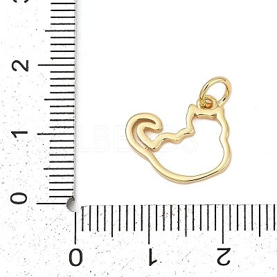 Brass Charms KK-S527-19G-1