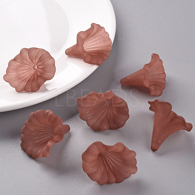 Transparent Acrylic Beads BSF796-C06-1