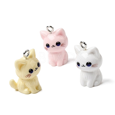 Opaque Resin Pendants RESI-F065-02-1