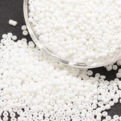 6/0 Glass Seed Beads X-SEED-J014-F6-41-1