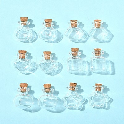 12Pcs 6 Styles Glass Bottle for Bead Containers BOTT-FS0001-05-1