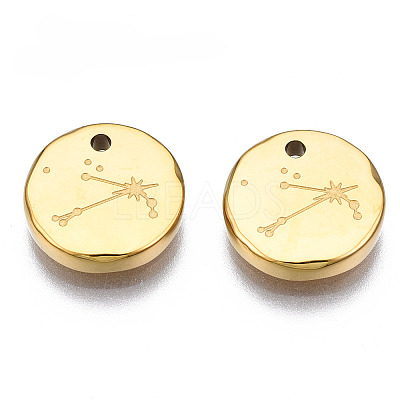 316 Surgical Stainless Steel Charms STAS-S116-418B-G-1