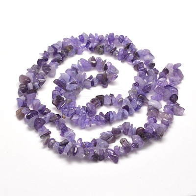 Natural Amethyst Chip Bead Strands X-G-M205-04-1