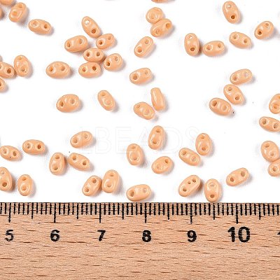 Baking Paint Glass Seed Beads SEED-T006-03E-1