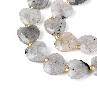 Natural Labradorite Beads Strands G-P592-B14-01-1