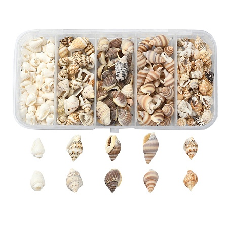 5 Styles Mixed Natural Shell Beads SSHEL-YW0001-03-1