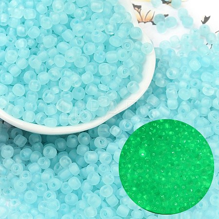 6/0 Luminous Glass Seed Beads X1-SEED-NH0001-01F-1