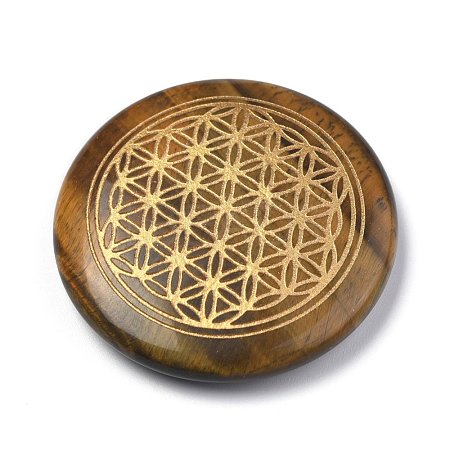 Chakras Themed Natural Tiger Eye Cabochons G-P001-22D-1