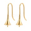 Ion Plating(IP) 304 Stainless Steel Earring Hooks X-STAS-N108-30G-1