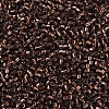 MIYUKI Delica Beads X-SEED-J020-DB0150-3
