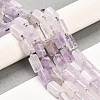 Natural Amethyst Beads Strands G-G068-A29-01-2