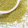 MIYUKI Delica Beads X-SEED-J020-DB0424-1