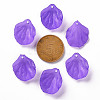 Transparent Frosted Acrylic Pendants MACR-S371-01A-747-3