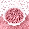 Drawbench Style Glass Seed Beads SEED-N008-11D-2