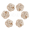 Translucent Resin Cabochons RESI-CJ0004-05B-1