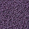 MIYUKI Delica Beads X-SEED-J020-DB0662-3