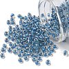 TOHO 6/0 Round Beads SEED-TR06-0263-1