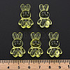 Transparent Acrylic Beads MACR-S373-81-B06-5