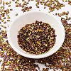 MIYUKI Half TILA Beads SEED-MY05-HTL0462-2