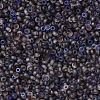 MIYUKI Round Rocailles Beads X-SEED-G007-RR4556-2