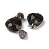 Teardrop Natural Labradorite Perfume Bottle Pendants G-H241-02D-P-1