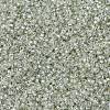MIYUKI Delica Beads X-SEED-J020-DB1431-4
