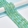Frosted Transparent Glass Beads Strands FGLA-M002-01F-2