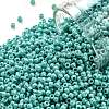TOHO 11/0 Round Beads SEED-JPTR11-0413-1