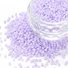 13/0 Glass Seed Beads SEED-T005-14A-A11-1