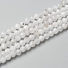 Natural Rainbow Moonstone Beads Strands LS-G-O186-D02-01-1