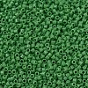 MIYUKI Delica Beads SEED-MY11-DB0724-3
